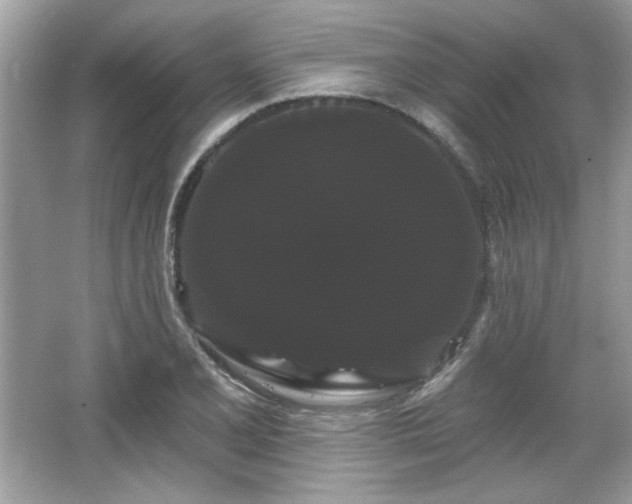 X0000065991077200603101458