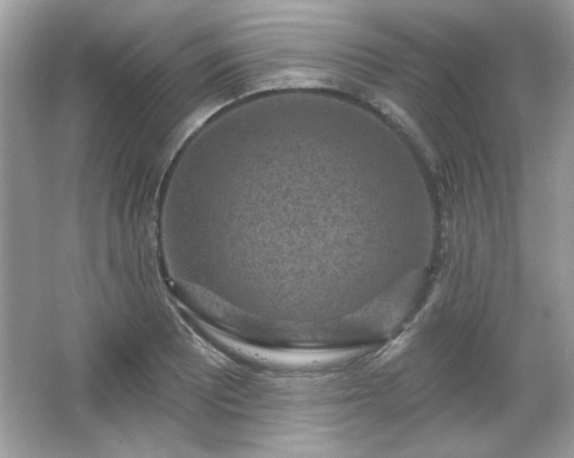 X0000065991081200603101458