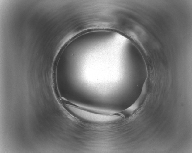 X0000065991085200603101458