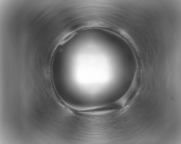 X0000065991089200603101458