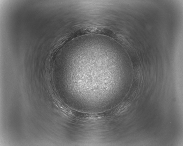 X0000065991105200603101457