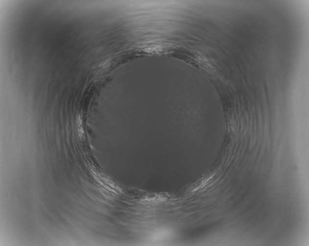 X0000065991106200603101457