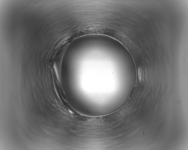 X0000065991107200603101457