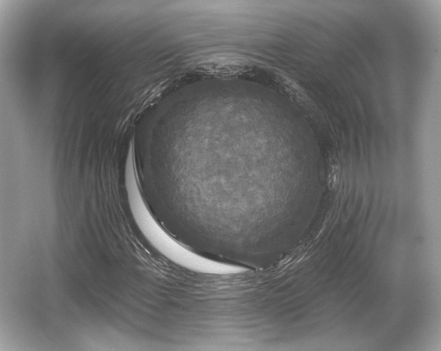 X0000065991108200603101457