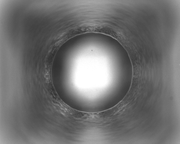 X0000065991109200603101457