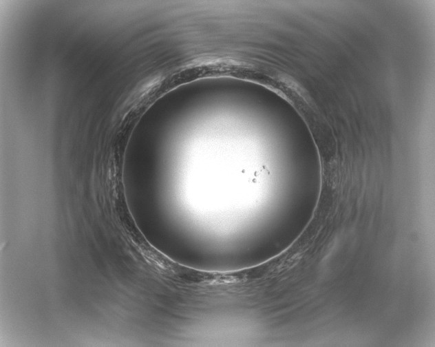 X0000065991111200603101457