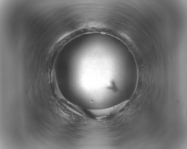 X0000065991112200603101457
