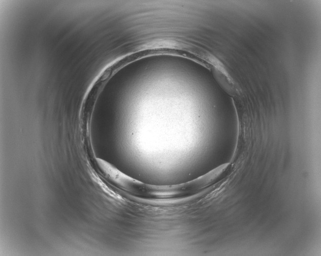 X0000065991116200603101457