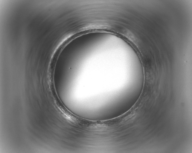 X0000065991119200603101457
