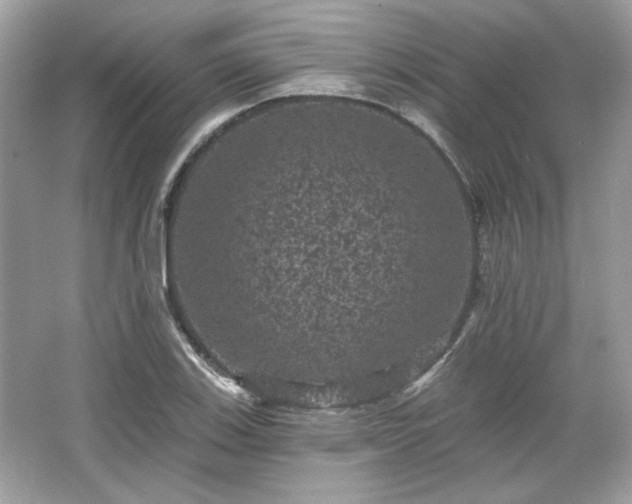 X0000065991123200603101457