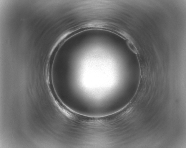 X0000065991131200603101457