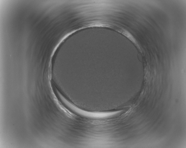 X0000065991132200603101457