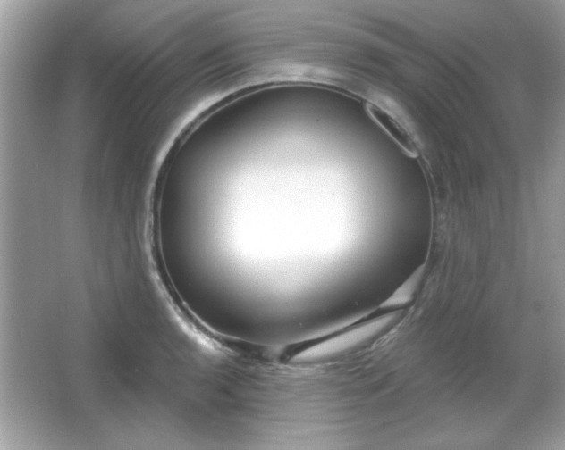 X0000065991136200603101458