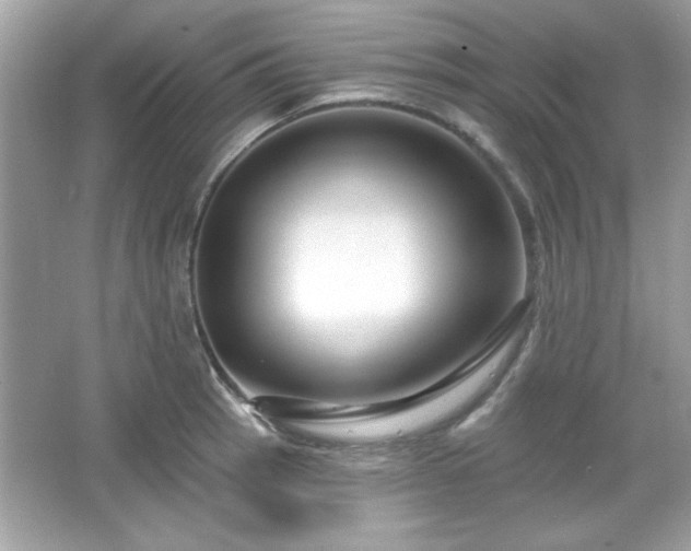 X0000065991137200603101458