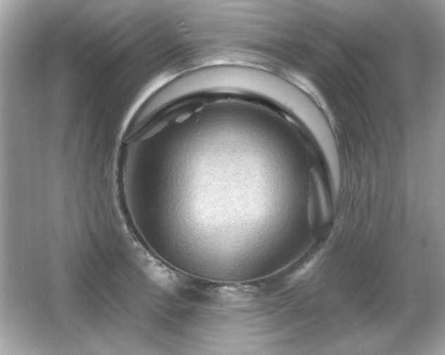 X0000065991138200603101458