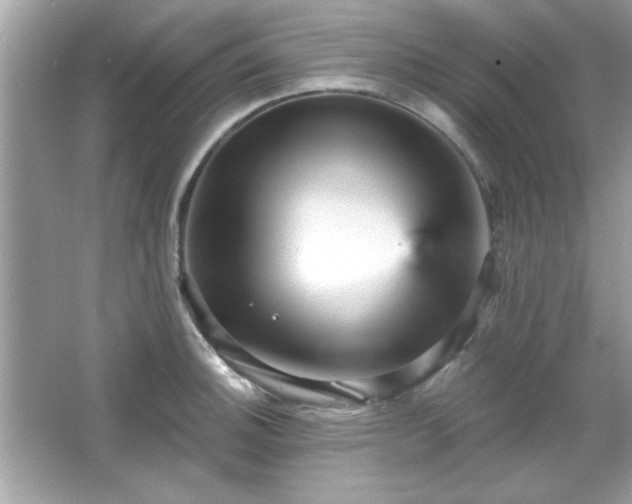 X0000065991140200603101458