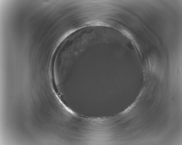 X0000065991141200603101458