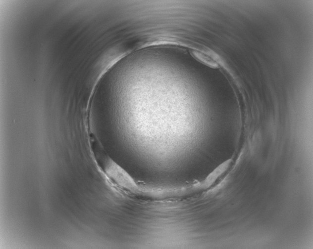 X0000065991145200603101458