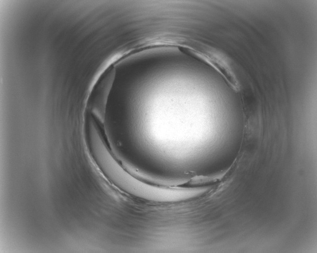 X0000065991146200603101458