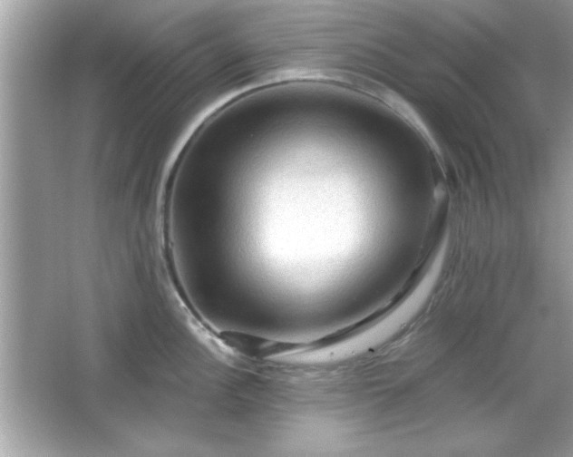 X0000065991148200603101458