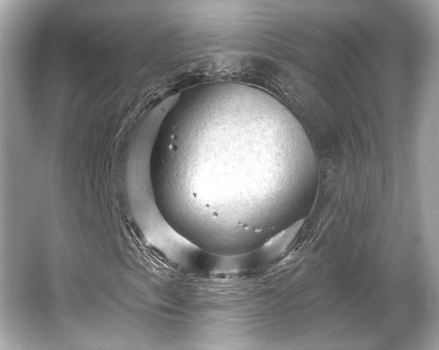 X0000065991153200603101457