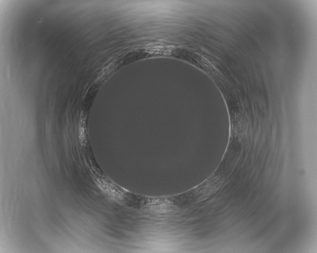 X0000065991154200603101457