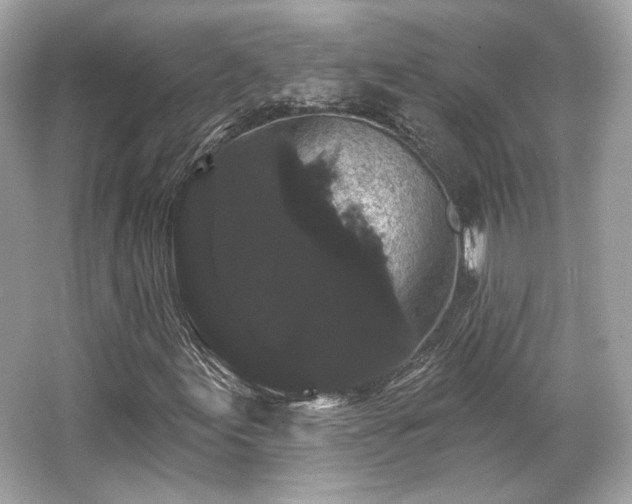X0000065991155200603101457