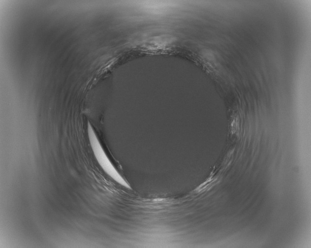 X0000065991156200603101457
