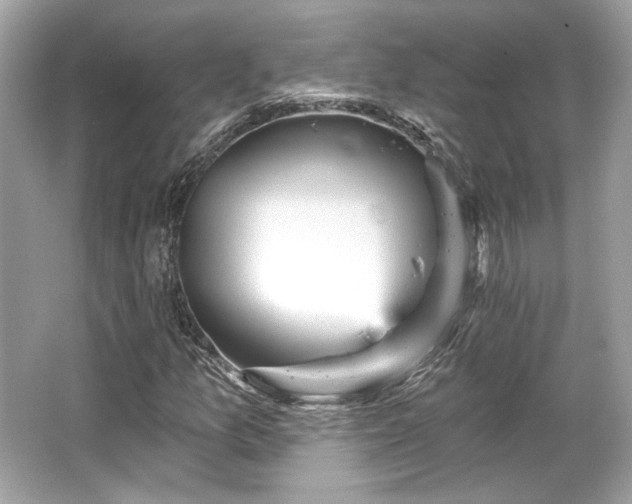 X0000065991157200603101457