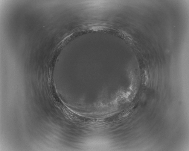 X0000065991158200603101457