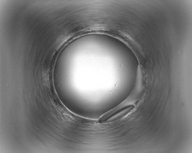 X0000065991162200603101457