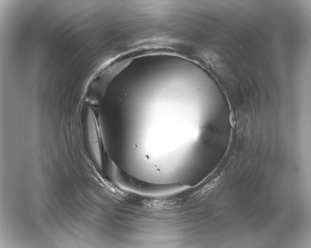 X0000065991164200603101457