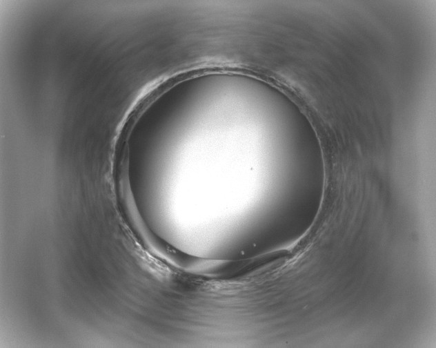 X0000065991168200603101457