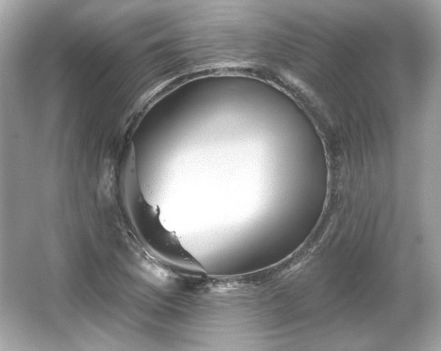 X0000065991169200603101457