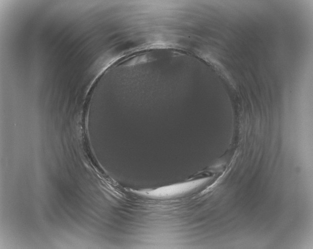 X0000065991170200603101457