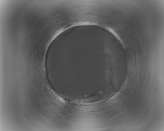 X0000065991173200603101457