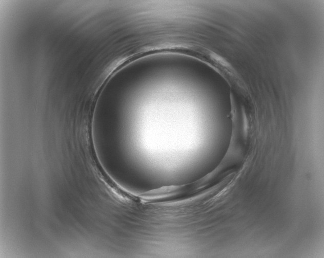 X0000065991177200603101457