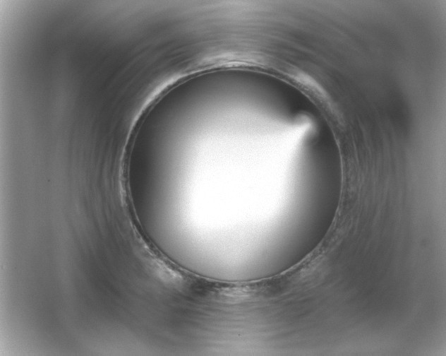 X0000065991182200603101456