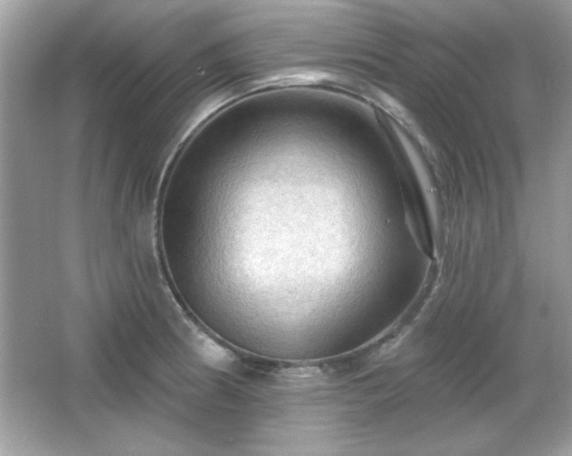 X0000065991186200603101456