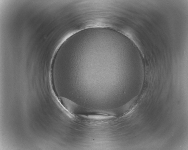 X0000065991187200603101456