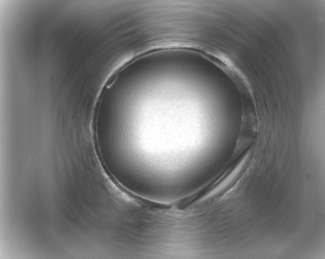X0000065991189200603101456