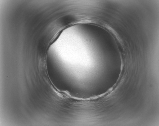 X0000065991193200603101456