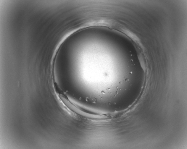 X0000065991200200603101456