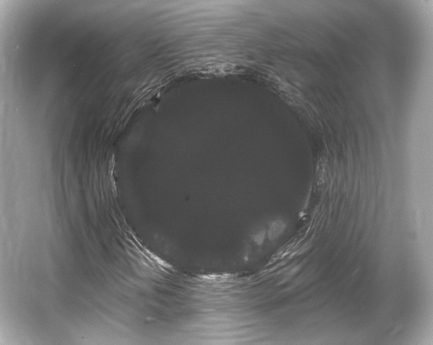 X0000065991202200603101455
