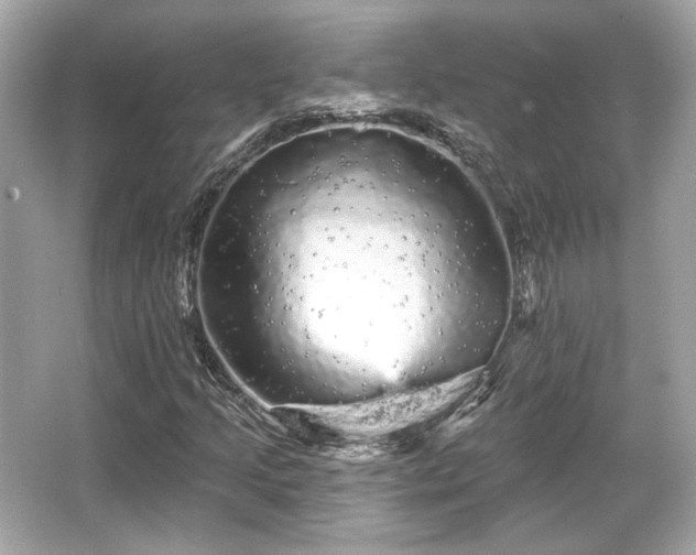 X0000065991205200603101455