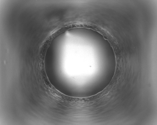 X0000065991207200603101455