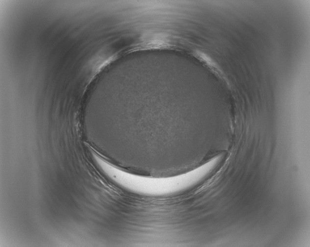 X0000065991210200603101456
