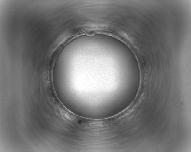 X0000065991211200603101456