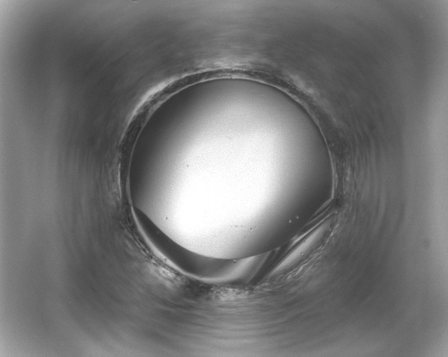 X0000065991214200603101456