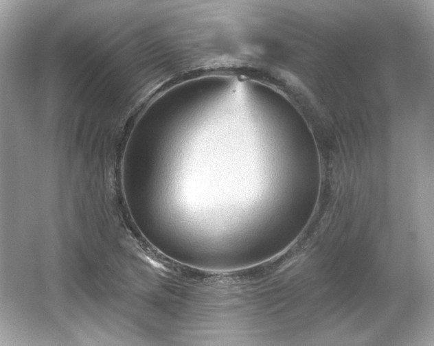 X0000065991217200603101456